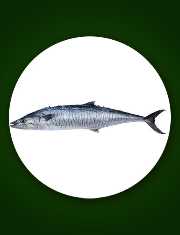 Ayakoora Ayakoora