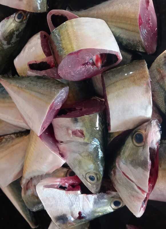Ayala Curry Cut 500g Ayala Curry Cut 500g