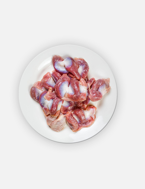 Chicken Gizzard Chicken Gizzard