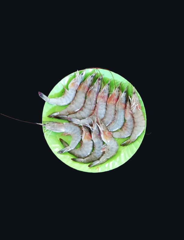 Prawns Large Naran Prawns Large Naran