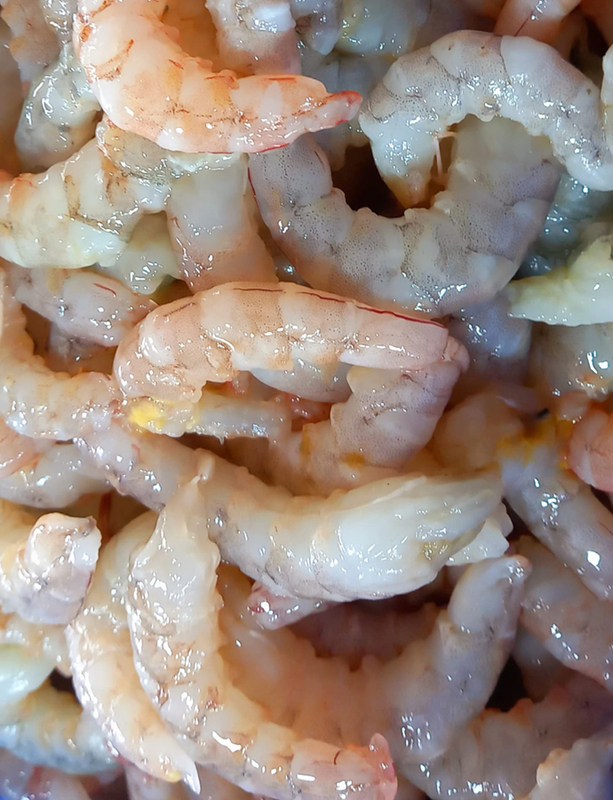 Prawns Sea Medium Size Prawns Sea Medium Size