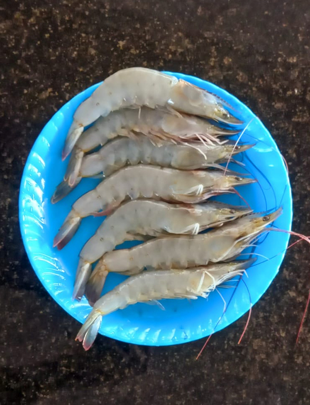Prawns Medium Prawns Medium