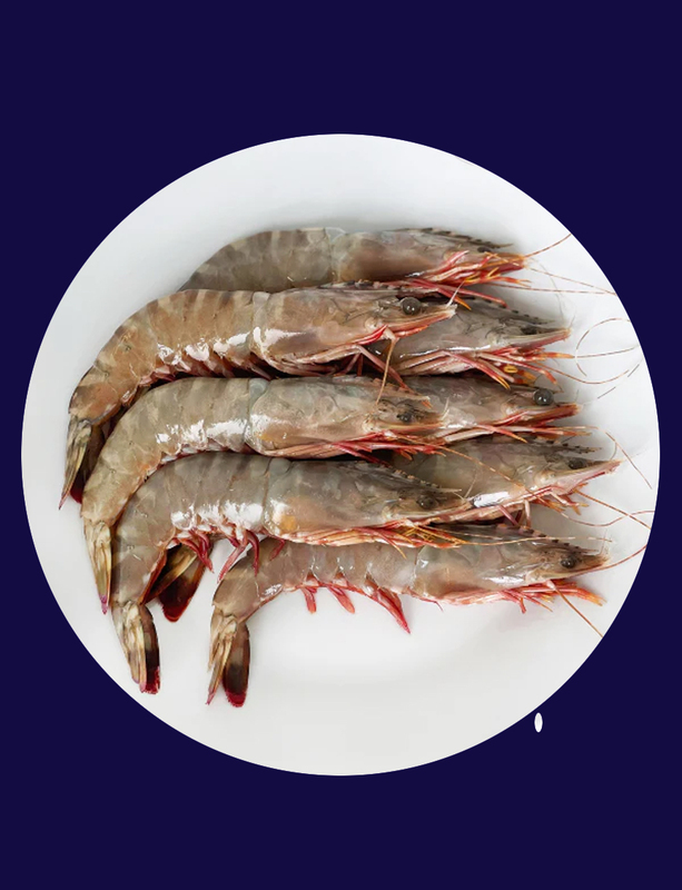 Tiger Prawns Whole 500g Tiger Prawns Whole 500g